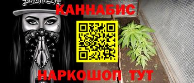 сатива Краснознаменск