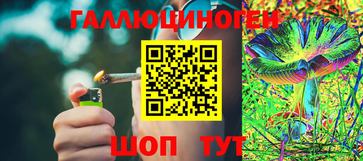 Псилоцибиновые грибы прущие грибы  Галлюциногенные грибы мухоморы  Вход с VPN  купить  сайты  Каменка 
