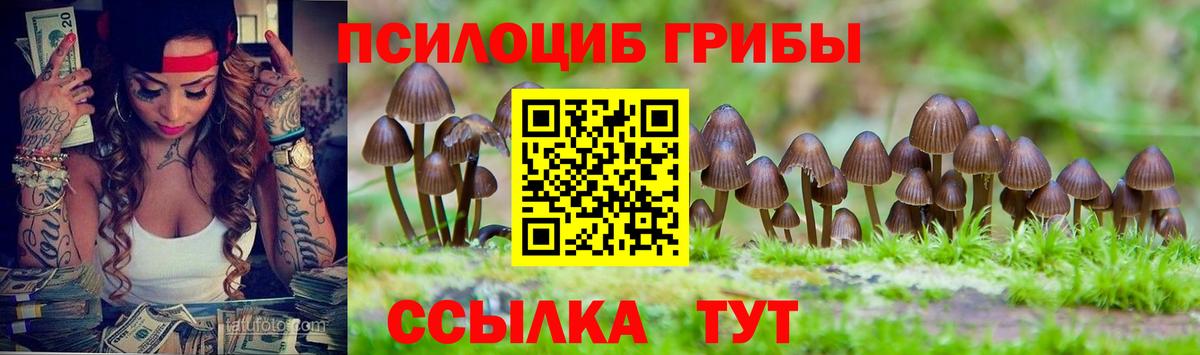 Псилоцибиновые грибы Psilocybine cubensis Каменка